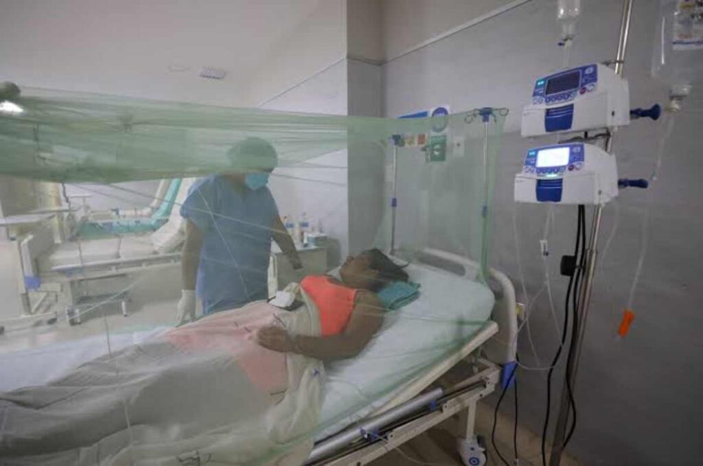 Epidemia de Dengue Azota Quintana Roo: Casos en Aumento