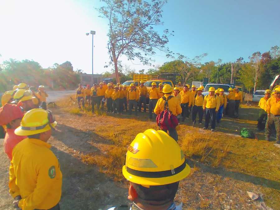 Equipo estatal combate con éxito incendios forestales en Quintana Roo