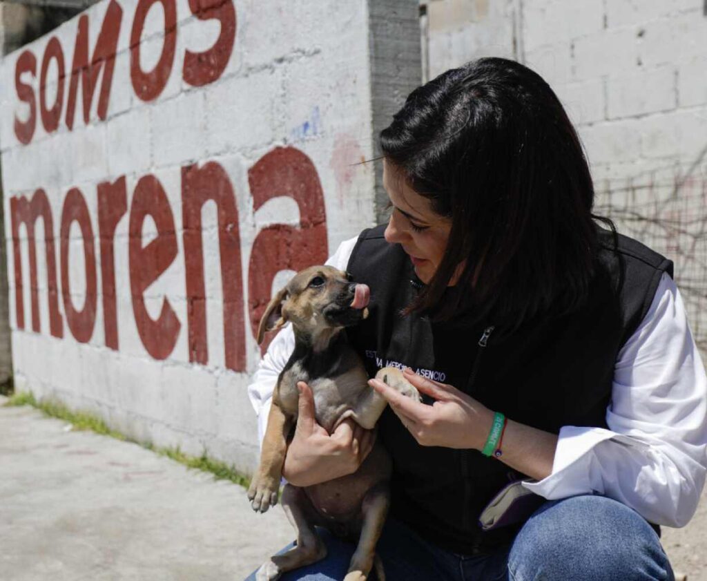 Estefanía Mercado lidera propuesta para intensificar sanciones en casos de maltrato animal