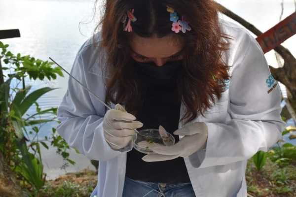 Estudiantes investigan estromatolitos en Laguna Chichankanab 1