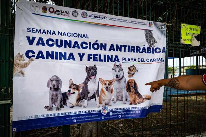 Exito en la Campana de Vacunacion Antirrabica Solidaridad Protege a sus Mascotas 1