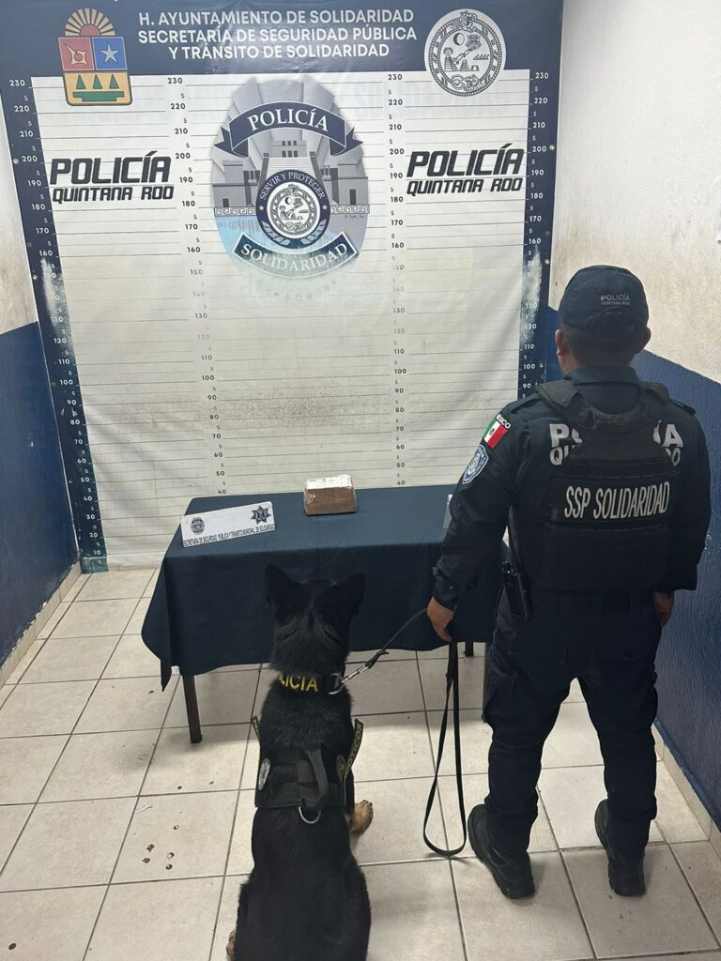 Exitosa Operación Policial en Playa del Carmen: Incautado Kilogramo de Drogas en Mensajería Red Pack