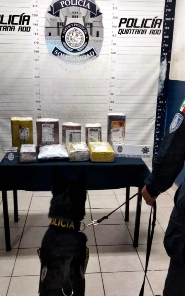 Exitosa Operacion en Solidaridad Captura de Sospechosos y Decomiso de Drogas 2