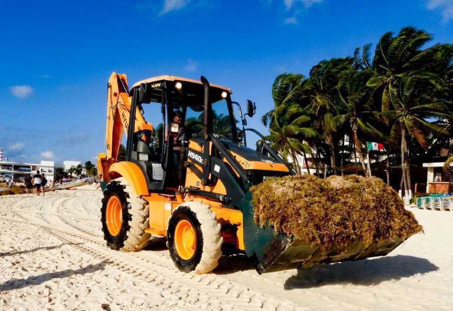 Gobierno local lidera esfuerzos para mantener playas limpias y en óptimas condiciones