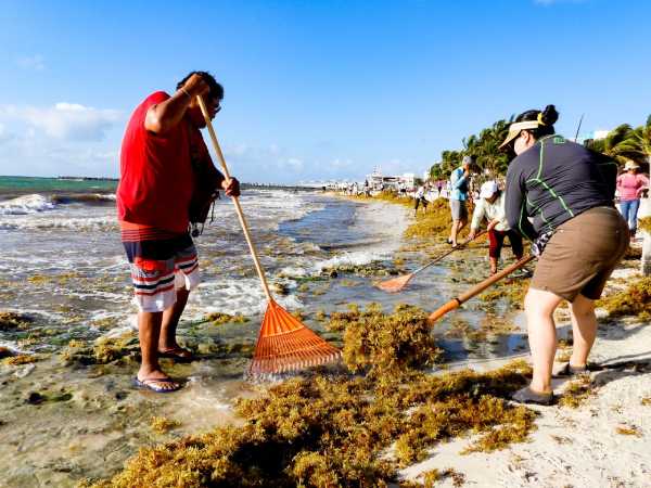 Gobierno local lidera esfuerzos para mantener playas limpias y en optimas condiciones 2