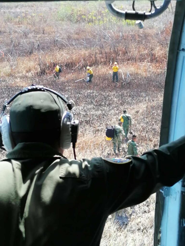 Héroes forestales trabajan incansablemente para extinguir el incendio en San José