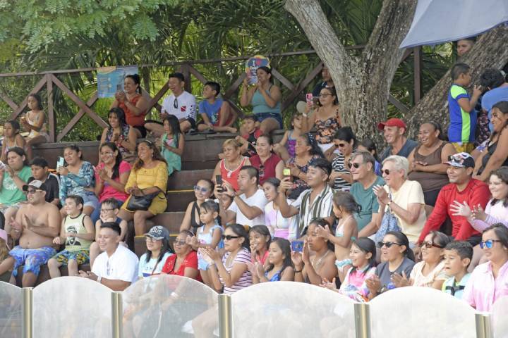 Horarios Alternos en Parques de Cozumel para Diciembre ¡Disfruta de una Mayor Diversion 1