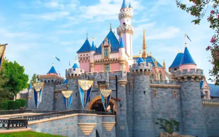 Incidente en Disneyland: Detienen a Individuo por Conducta Inapropiada