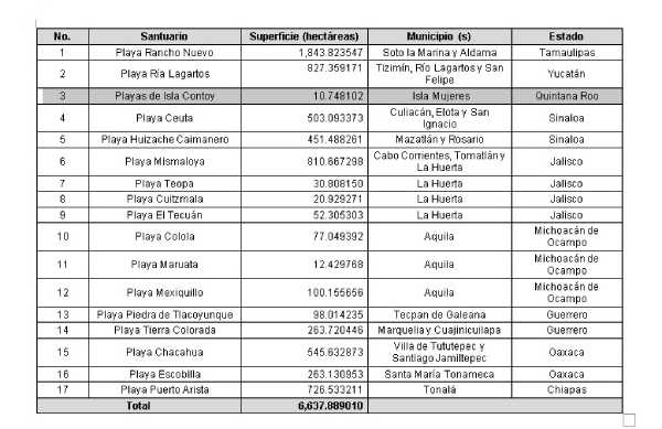 Isla Contoy ha sido declarada como refugio de tortugas por Semarnat 3