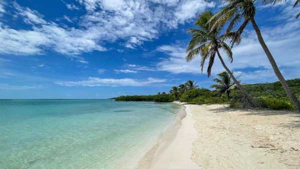 Isla Contoy ha sido declarada como refugio de tortugas por Semarnat