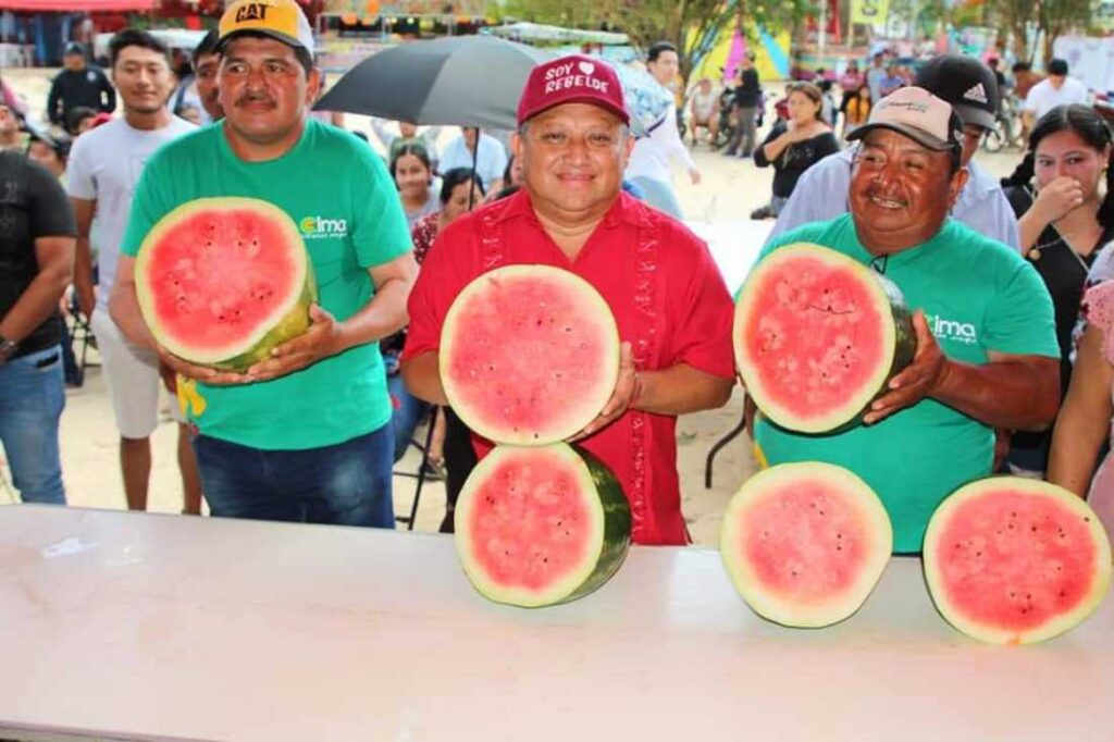 José María Morelos destaca como líder en exportación de sandía de alta calidad