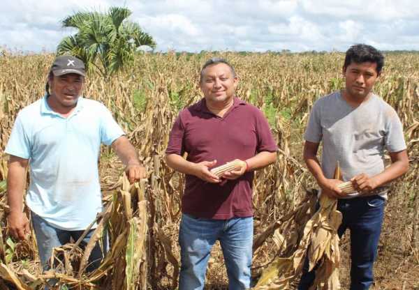Jose Maria Morelos impulsa la produccion agricola con politicas innovadoras y apoyo a los campesinos locales 1
