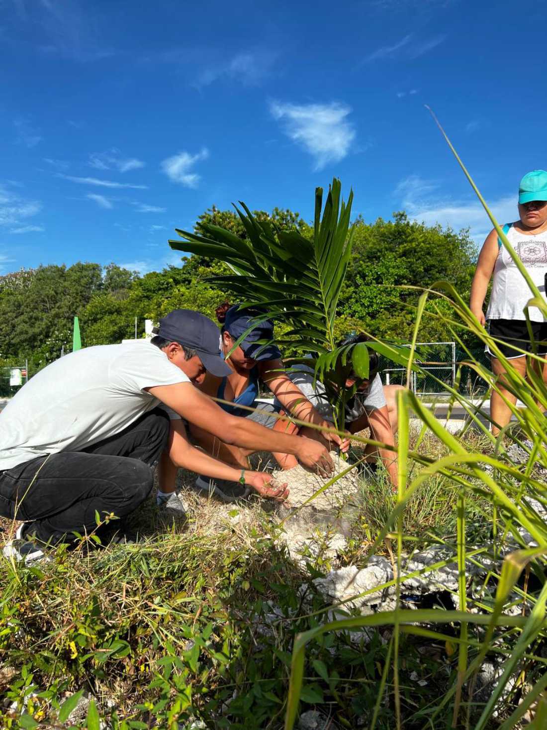 Jóvenes lideran jornada de conservación en Puerto Morelos