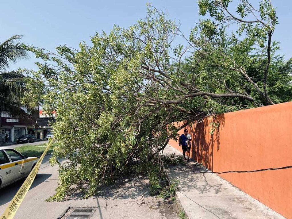 La infraestructura educativa en Quintana Roo se mantiene ilesa frente a las tormentas eléctricas