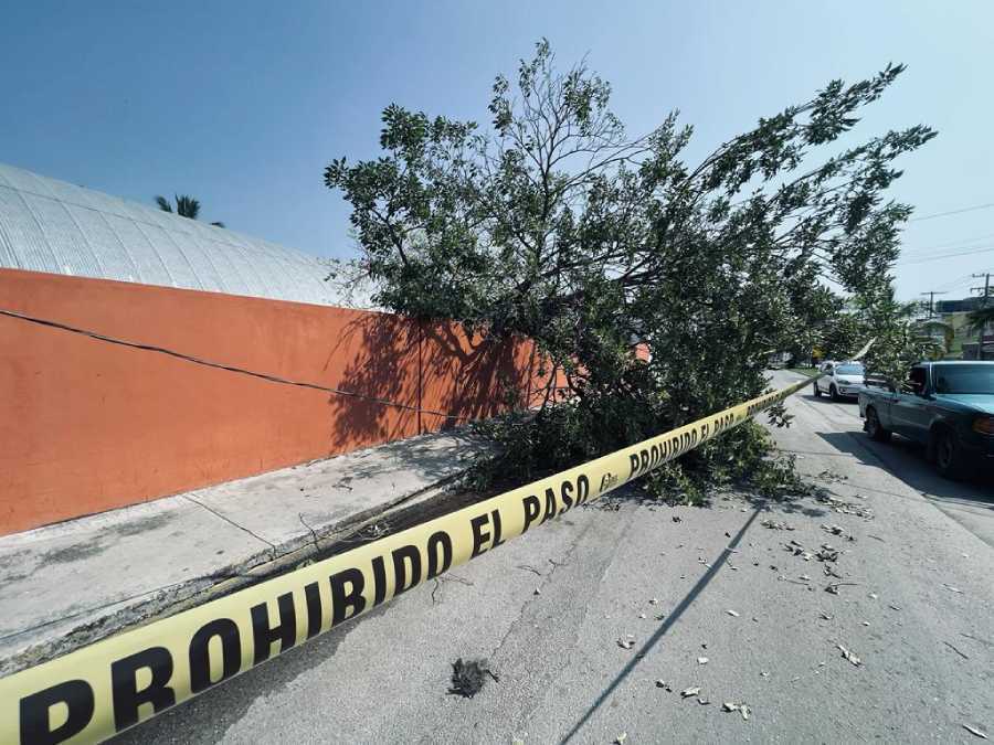 La infraestructura educativa en Quintana Roo se mantiene ilesa frente a las tormentas electricas 2