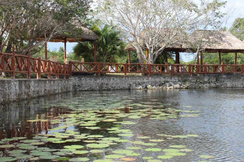 Leona Vicario se prepara para recibir un prestigioso torneo internacional de buceo en cenotes