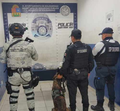 Operativo Policial en Playa del Carmen Resulta en el Decomiso de Narcóticos y la Detención de un Sospechoso (1)