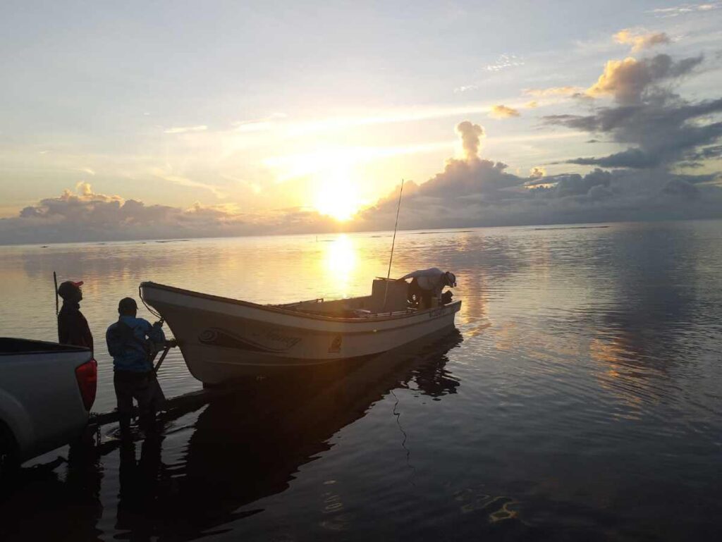 Quintana Roo Impulsa la Proteccion del Pulpo Maya 2