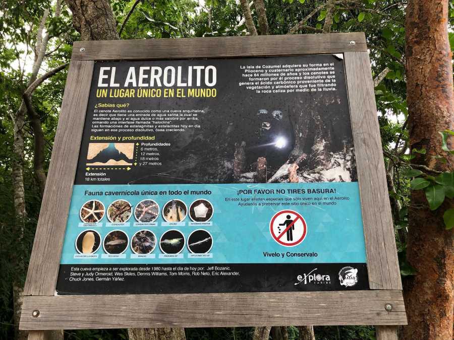 Quintana Roo anuncia la creacion de dos nuevas areas naturales protegidas para preservar su riqueza natural 1