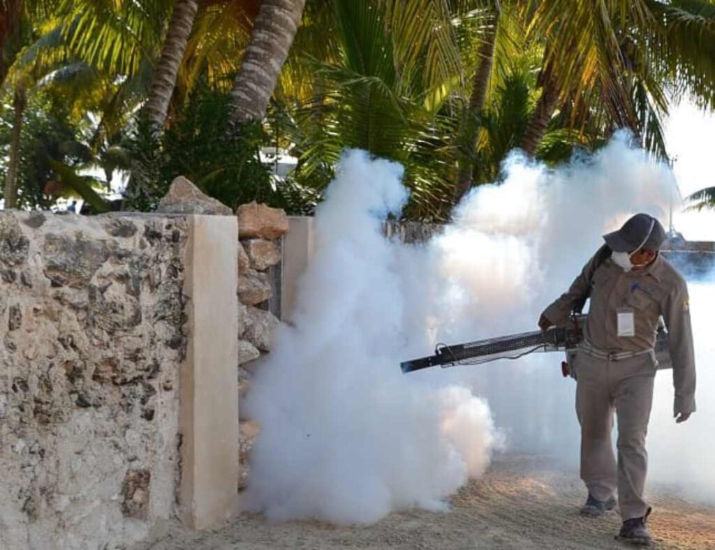 Quintana Roo lidera las estadísticas nacionales con la mayor incidencia de dengue