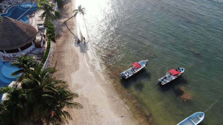 Renacer Costero Playa del Carmen en Accion para Restaurar las Playas Afectadas por el Sargazo 2