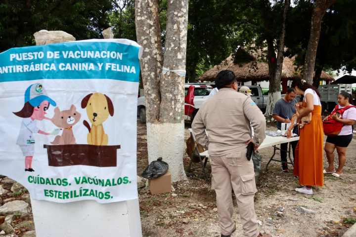 SE SUMA GOBIERNO DE PUERTO MORELOS A LA SEMANA NACIONAL DE VACUNACION ANTIRRABICA 2