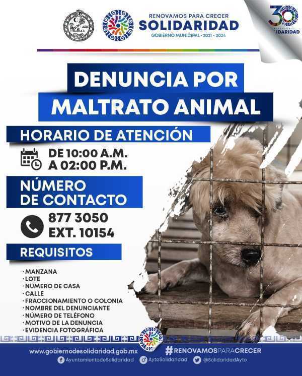 Solidaridad toma medidas contra el maltrato animal primer ciudadano multado por este delito 2