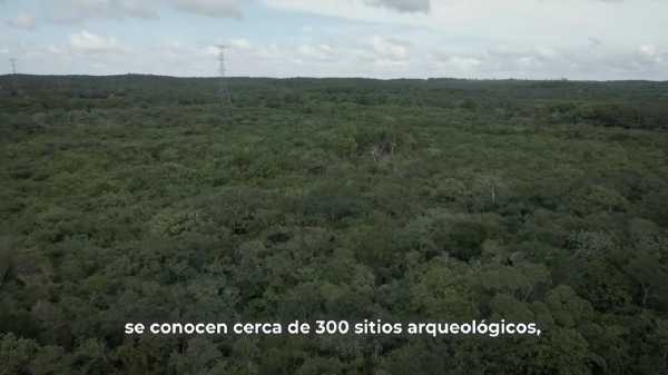 Tramos 5 y 6 del Tren Maya se encuentran en etapa de prospeccion INAH 4 1