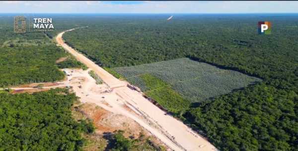 Tren Maya recibirá diez terrenos en Tulum y Felipe Carrillo Puerto por parte del gobierno federal