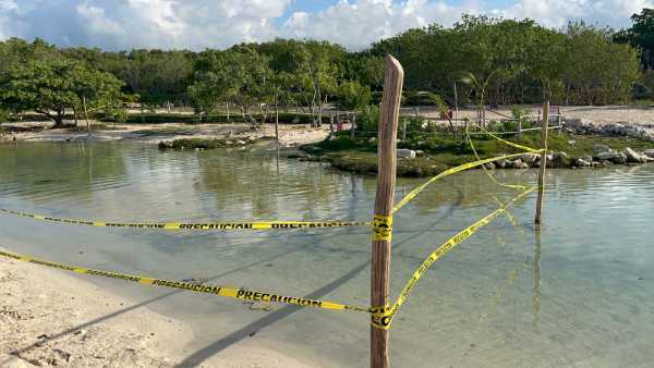 Tren Maya tendra mas pasos de fauna en tramo Playa del Carmen Tulum 2