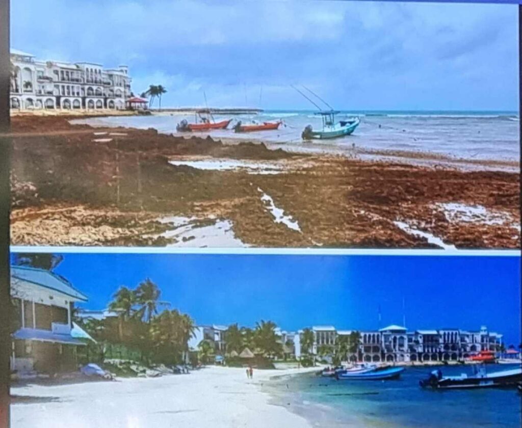 Triunfo en Playa del Carmen: La presidenta Lili Campos lidera exitosa restauración de la playa El Recodo