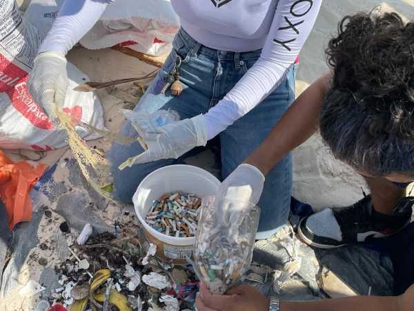 Unidos por la Tierra Limpieza de Playas en Playa del Carmen en el Dia Mundial del Medio Ambiente 2