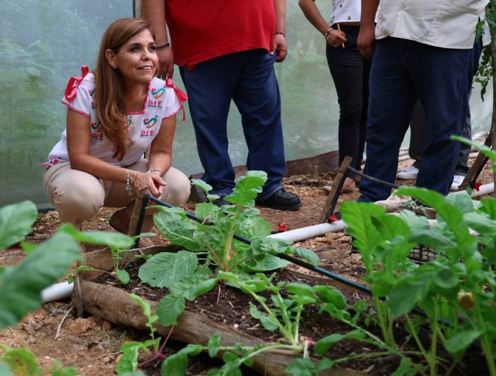 Veronica Lezama Compromiso Renovado con el Bienestar Comunitario en Quintana Roo 2