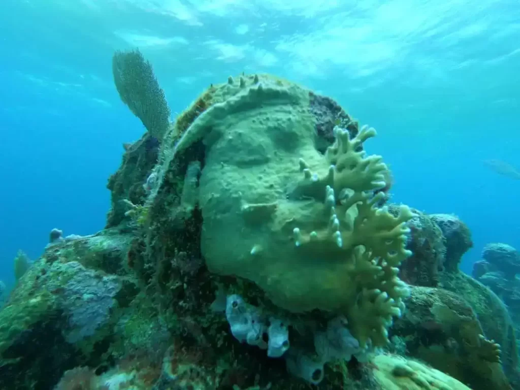 15 atracciones turísticas que no te puedes perder si venís a Cancún 5 musa cancun 1