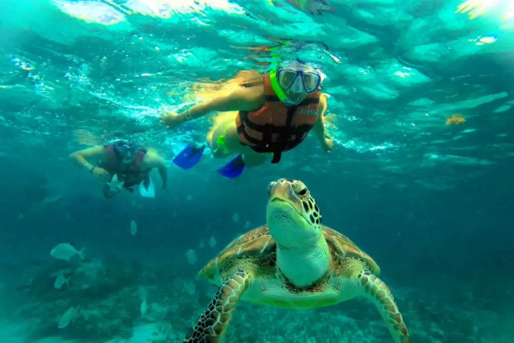snorkel playa tortugas